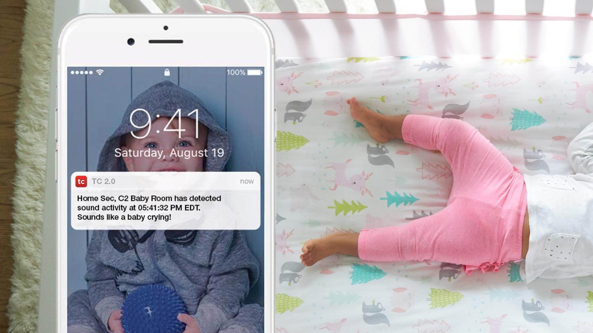 total connect 2.0 google home